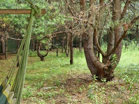 будинок за адресою Дзвінкова