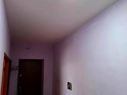 квартира по адресу Пасечная ул., 38