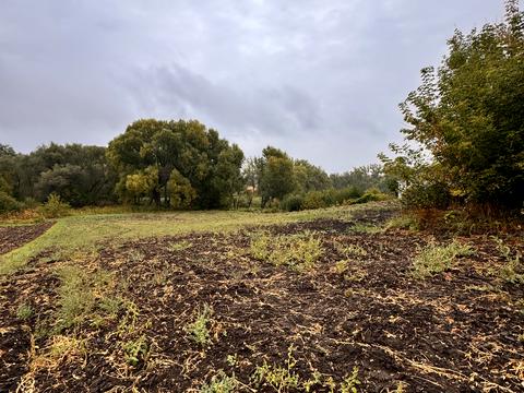 будинок за адресою с. Перегонівка, Механизмізаторів