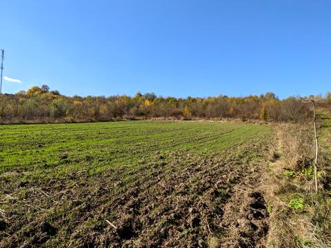 ділянка за адресою Шевченка