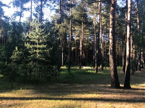 дом по адресу Петра Сагайдачного, 50