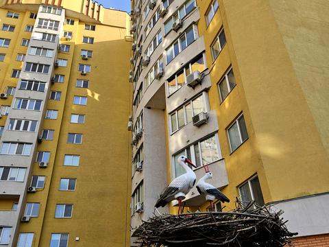 квартира по адресу Героев Днепра ул., 89