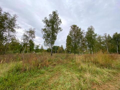 ділянка за адресою Південна