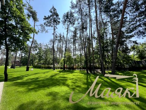 дом по адресу анатолія солов'яненко