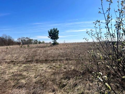 ділянка за адресою вул. Василькова, 2