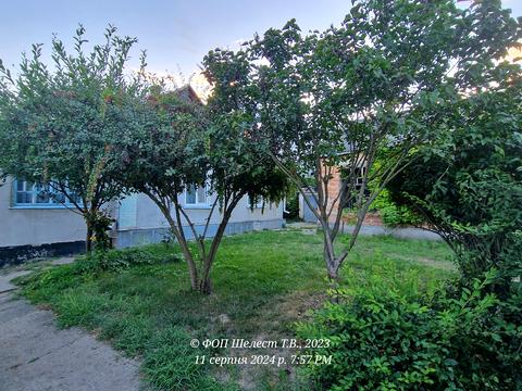 будинок за адресою Червона