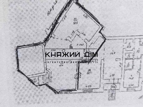 коммерческая по адресу Гетьмана Кирилла Разумовского ул. (Миколи Краснова), 17