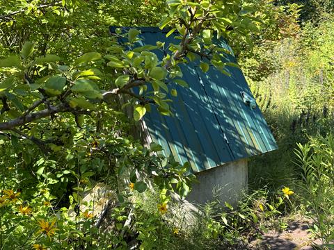 будинок за адресою Шевченко