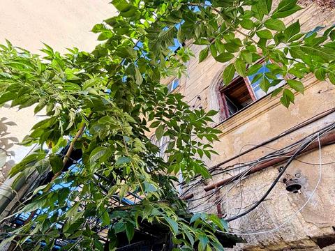 квартира по адресу Разумовская ул., 40