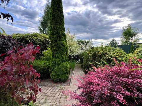 дом по адресу вул. Лесі Українки, 12