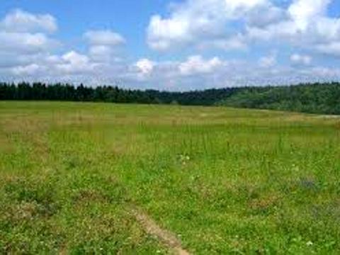 ділянка за адресою вулиця Л. Українки, 2