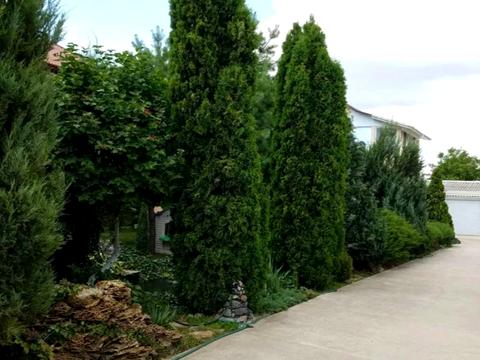 будинок за адресою Высоцкого проспект