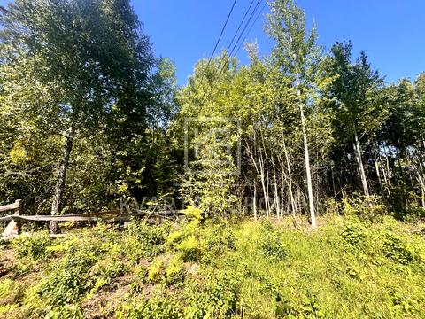 ділянка за адресою соборності, 27