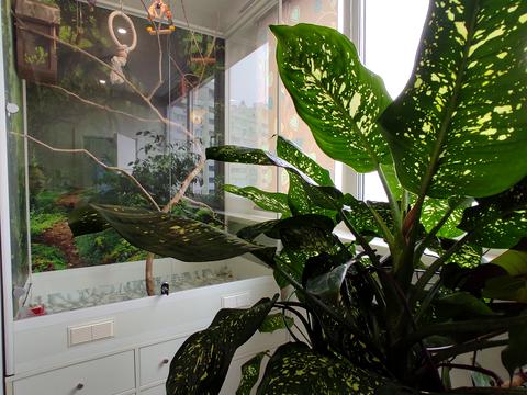 квартира за адресою Авіаконструктора Ігоря Сікорського вул. (Танкова), 1