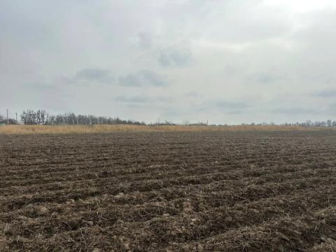 ділянка за адресою с. Лісові Гринівці, 