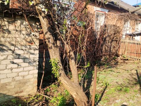 дом по адресу Невельская ул. (Невельська)