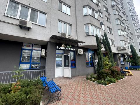 комерційна за адресою Бориса Гмирі вул., 4