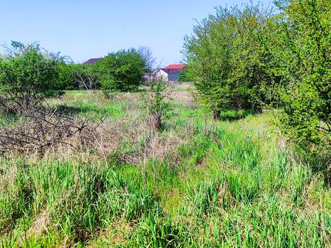 дом по адресу Львівська, 20