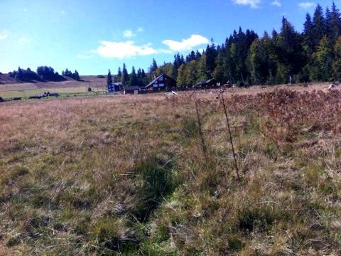 участок по адресу с. Кривополье, с.Кривопілля