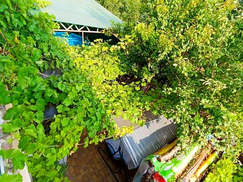 дом по адресу Центральная ул.