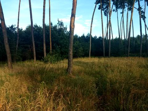 ділянка за адресою Гайова, 42
