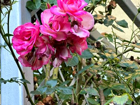 будинок за адресою Незалежності, 19Б