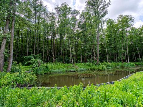 дом по адресу Заповідна