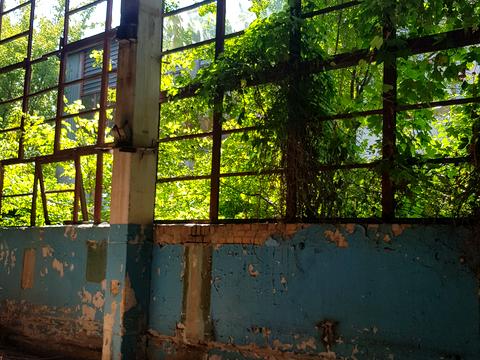 комерційна за адресою Захисників України вул. (Пушкіна), 26