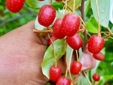 дом по адресу Стефаника В, 41