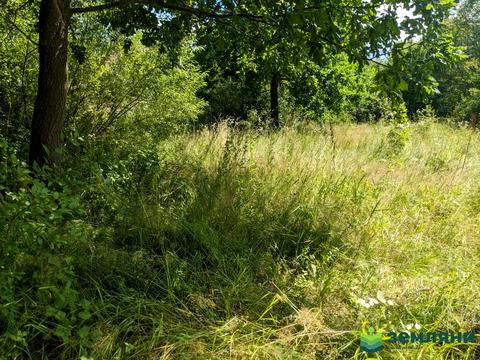 участок по адресу 