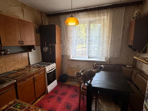 квартира по адресу просп. Миру, 7