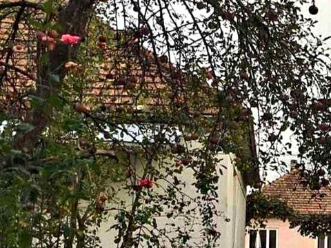 будинок за адресою Мукачівська