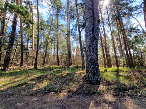 дом по адресу Лісова, 7