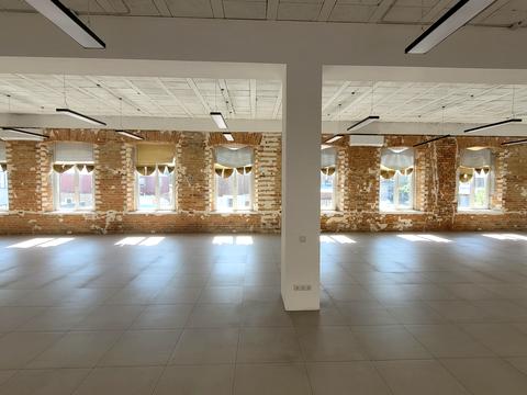 комерційна за адресою Магдебурзького Права вул. (Гопнер), 6