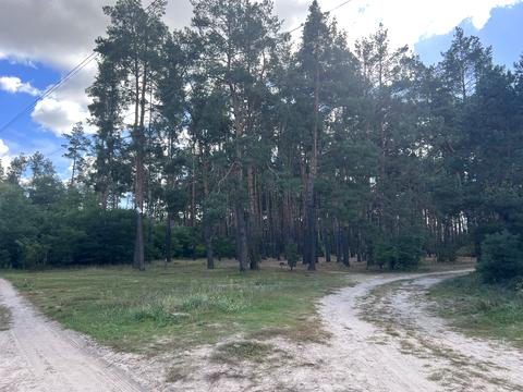 дом по адресу СТ Рута, 3