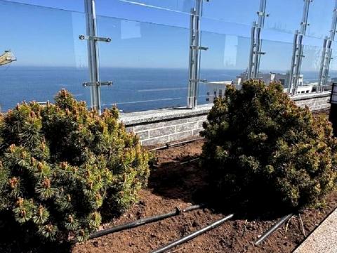 квартира по адресу Курортный пер., 2/2