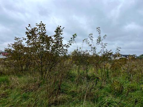 участок по адресу Гонты ул.