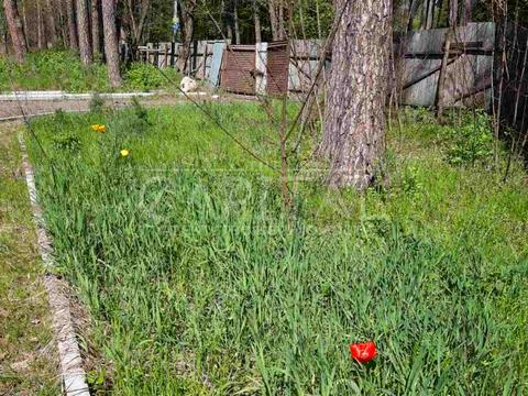 участок по адресу Соснова, 4