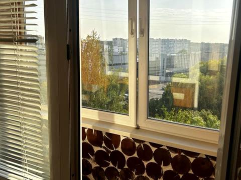 квартира по адресу Зубровская ул., 23