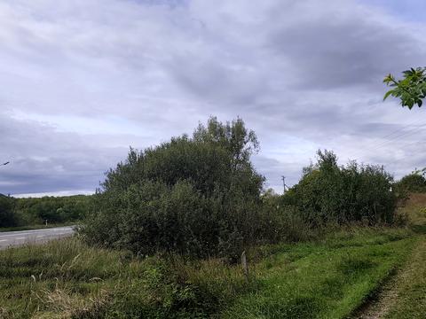 ділянка за адресою с. Нижнє Солотвино, 