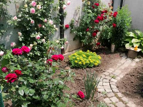 квартира по адресу Военстрой, 1