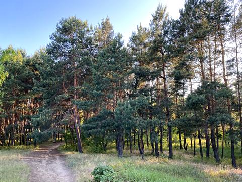 будинок за адресою Садова вул.