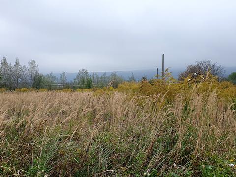 ділянка за адресою Під греблею