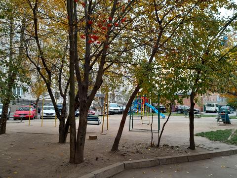квартира по адресу Родиона Скалецкого ул., 38а