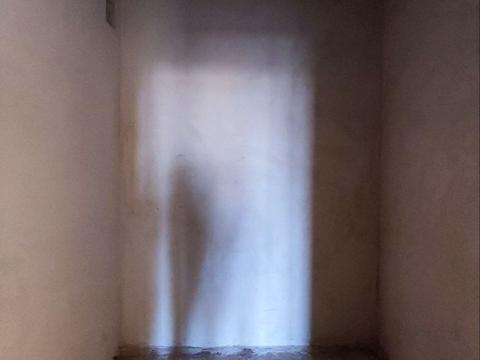 квартира по адресу Национальной Гвардии ул., 14