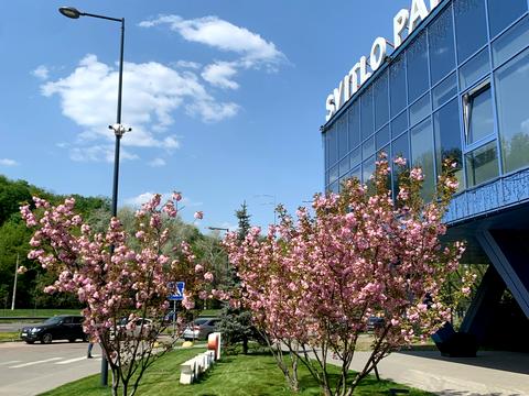 квартира по адресу Столичное шоссе, 1