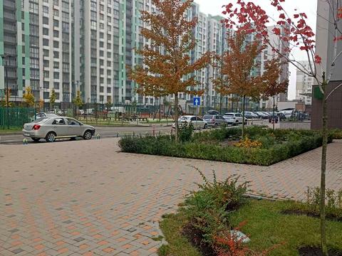 квартира по адресу Тираспольская ул., 52-А