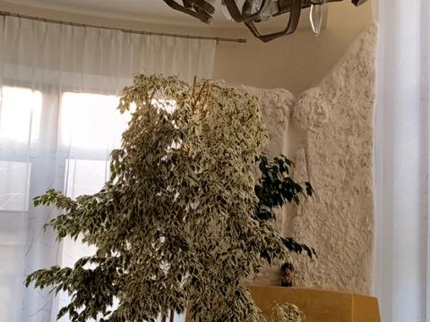 будинок за адресою Дачна вул., 8а