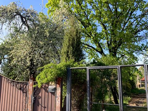 дом по адресу Волкова Сержанта ул., 125
