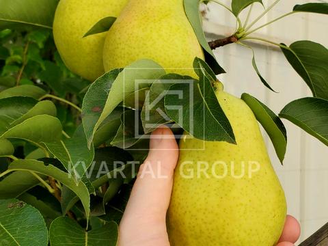 будинок за адресою Шевченка вул., 4